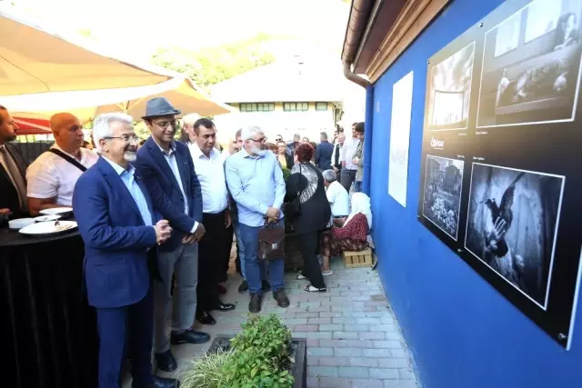 Misi'de Nilüfer Fotoğraf Şenliği başladı Misi'de Nilüfer Fotoğraf Şenliği başladı