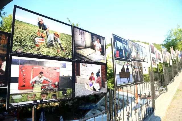 Misi'de Nilüfer Fotoğraf Şenliği başladı Misi'de Nilüfer Fotoğraf Şenliği başladı