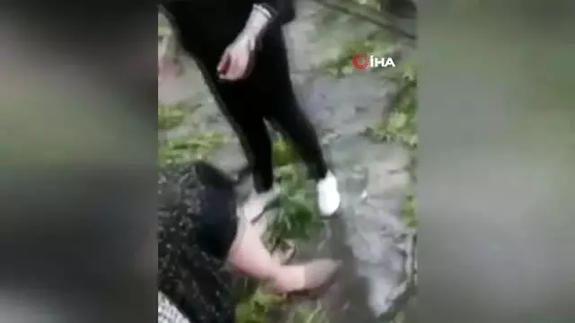 500 yaşındaki ağacın dallarının kırılması sonucu 19 kişi yaralandı! 500 yaşındaki ağacın dallarının kırılması sonucu 19 kişi yaralandı!
