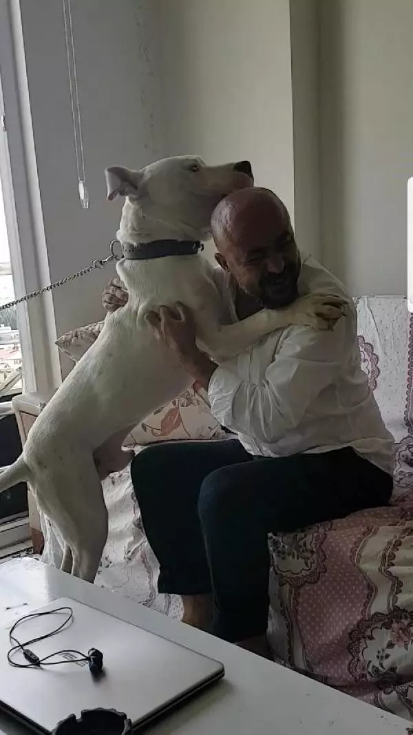 Köpek Asil�in, 2 ay ayrı kaldığı kulüp müdürüne olan tepkisi