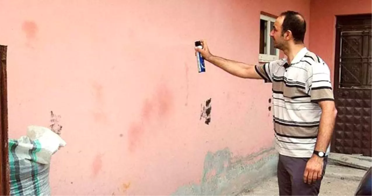 Tekirdağ'da türü bilinmeyen milyonlarca böceğin istilasına uğrayan mahalleli zor günler geçiriyor