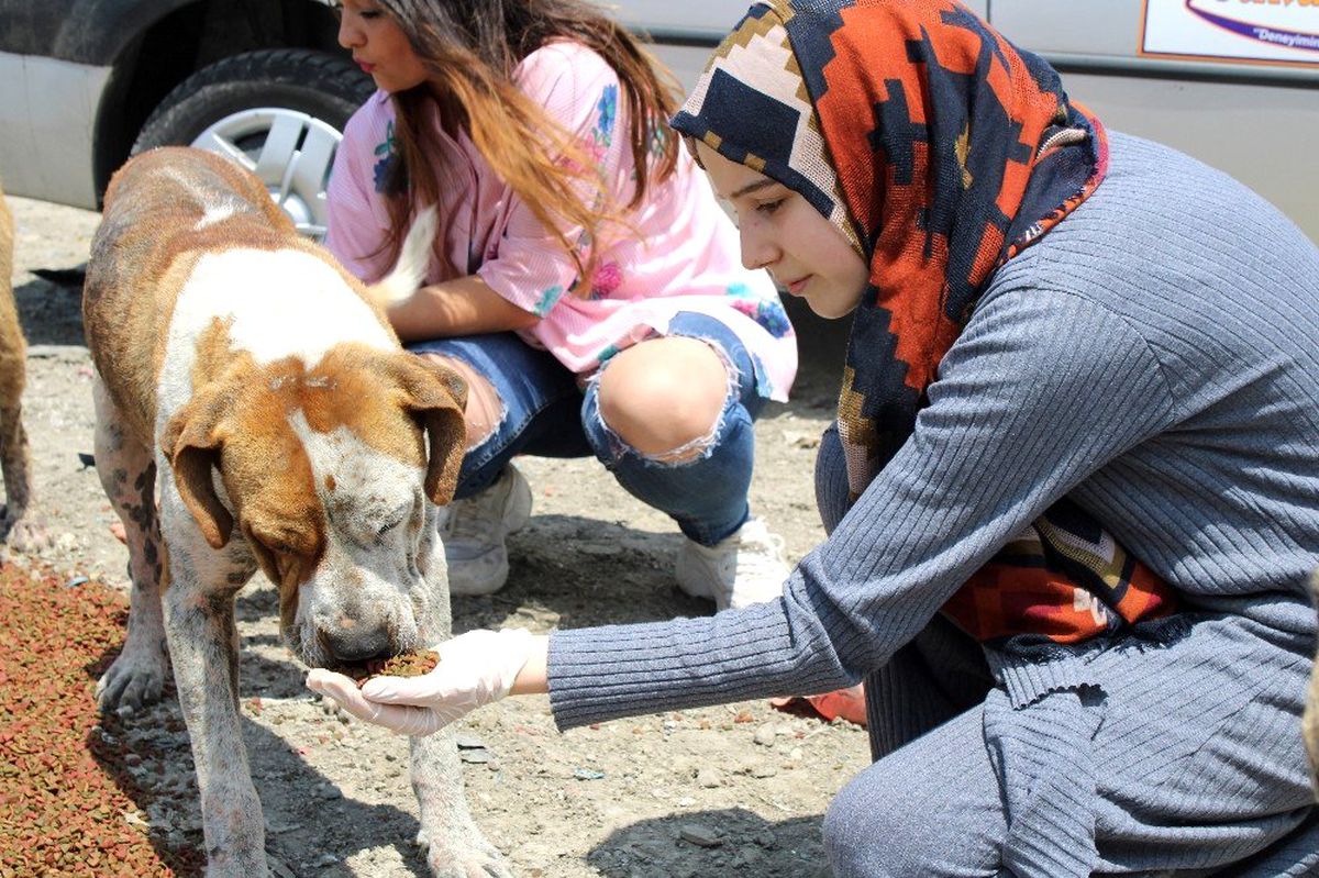 Köpek sevgisiyle görenleri şaşırtan genç kız, aç kalmak pahasına topladığı harçlıklarla sokak hayvanlarını besliyor