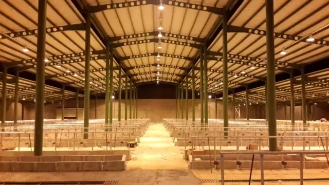 Başkan Hürriyet'in müjdesini verdiği kurban pazarında ön kayıtlar başlıyor