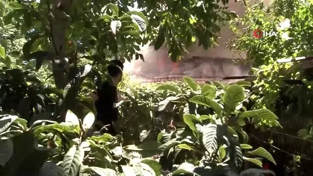 Beyoğlu'nda yangında can pazarı