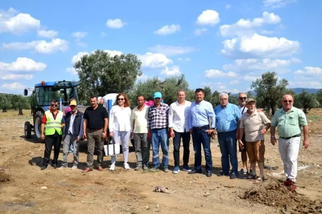 Edremit Belediyesi sokak hayvanlarının yanında