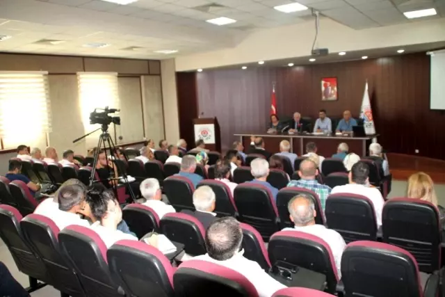 Gemlik Zeytin Festivali 6 Eylül'de başlıyor