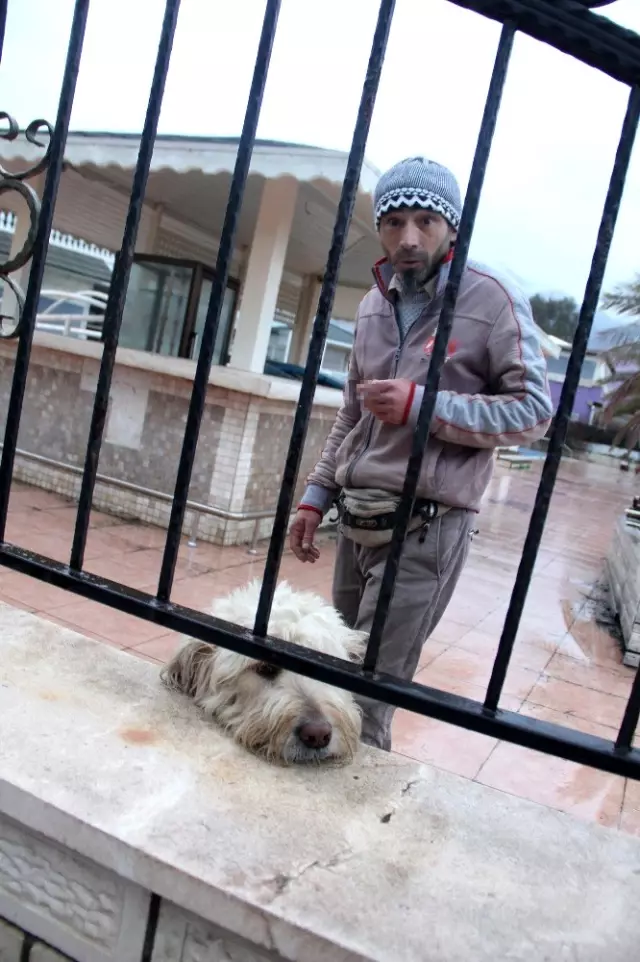 Kullanılmayan tesiste yangın: 1 ölü Kullanılmayan tesiste yangın: 1 ölü