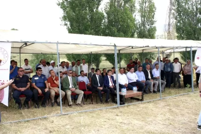 Niğde'de buğday tarla günü düzenlendi