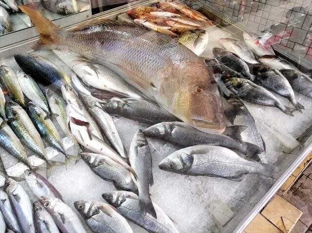 Oltayla 12 kiloluk sinarit yakaladı! Kilosunu 150 liradan satacak