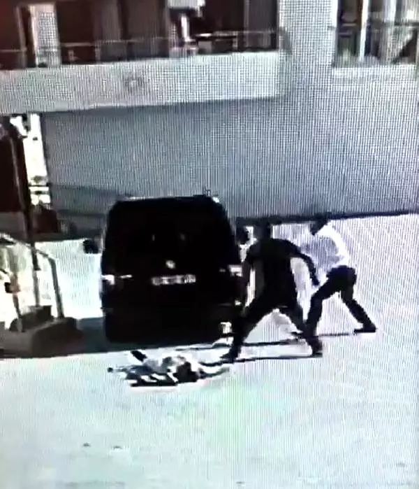 Siirt'ten korkunç görüntüler! Önce yumrukladı, sonra arabayla üzerinden geçti Siirt'ten korkunç görüntüler! Önce yumrukladı, sonra arabayla üzerinden geçti