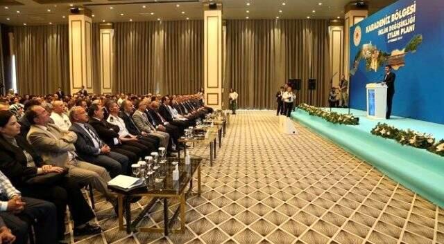 Karadeniz Bölgesi İklim Değişikliği Eylem Planı ile 6 ilde bin aile taşınacak