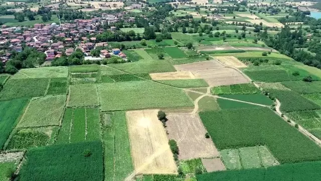 Samsun, Türkiye'nin sebze ve meyve ambarı