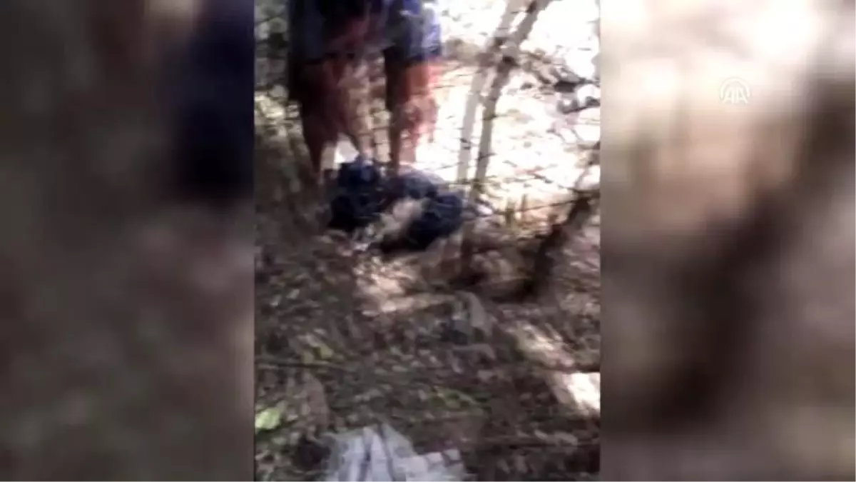 Tellere sıkışan yaban domuzunu kurtardılar