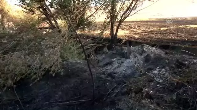 Bin 500 dönümlük alanda anız yangını Bin 500 dönümlük alanda anız yangını
