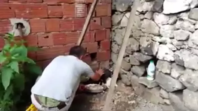 Köpek yavrusunu dereye atan kişiye 'hayvanlara bakma' görevi Köpek yavrusunu dereye atan kişiye 'hayvanlara bakma' görevi