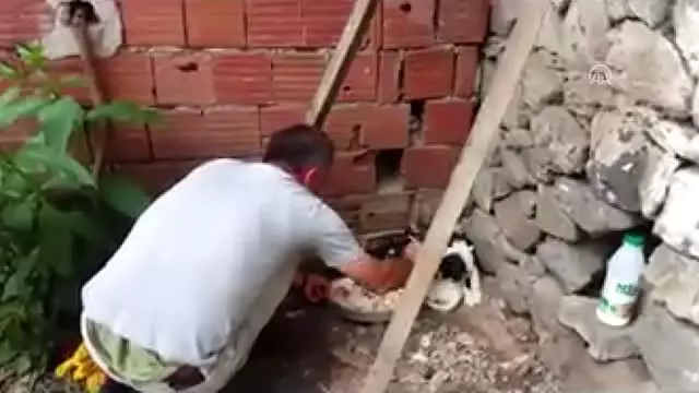 Köpek yavrusunu dereye atan kişiye 'hayvanlara bakma' görevi Köpek yavrusunu dereye atan kişiye 'hayvanlara bakma' görevi