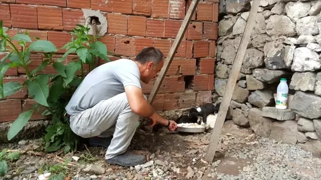 Köpek yavrusunu dereye atan kişiye 'hayvanlara bakma' görevi Köpek yavrusunu dereye atan kişiye 'hayvanlara bakma' görevi