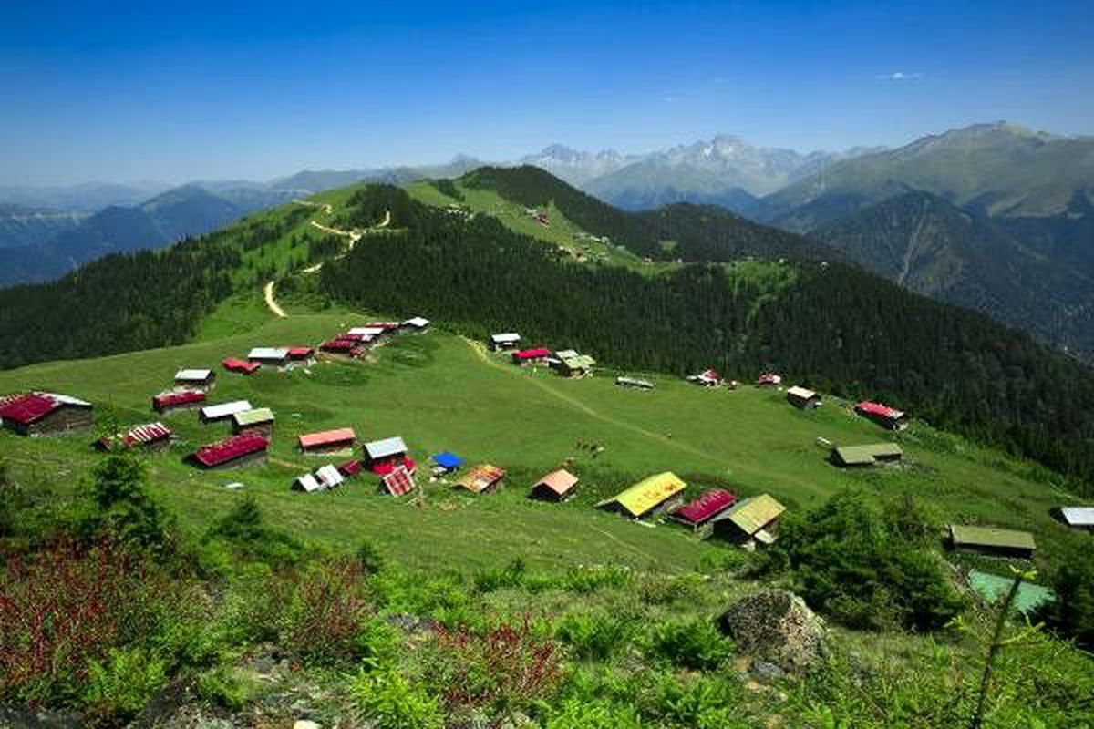 Ummanlı turizmciler, Rize'ye hayran kaldı