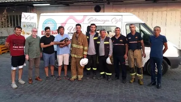 Yavru köpek 5 metre derinlikten kurtarıldı
