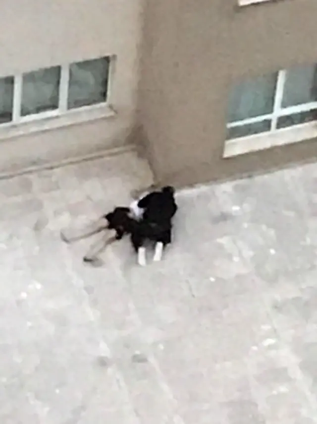 4. kattan düşen sevgilisinin başında ağlayan toy tahliye edildi!