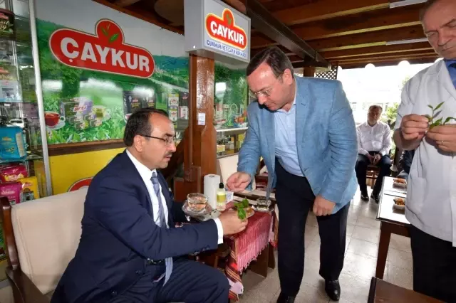 Bakan Yardımcısı Özkaldı, Çaykur çay satış ve tadım mağazasını açtı