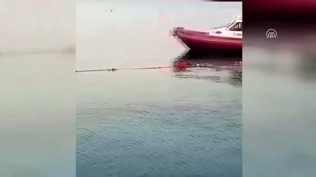 Denizde boğulma tehlikesi geçiren köpeği vatandaş kurtardı