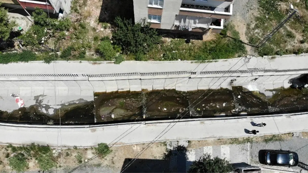 İstanbul'da 'Batı Nil Ateşli Virüsü' tehlikesi! Sivrisineklerden bulaşıyor