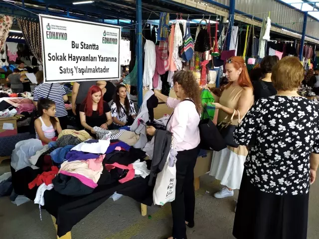 Sokak hayvanları için tezgah açtılar