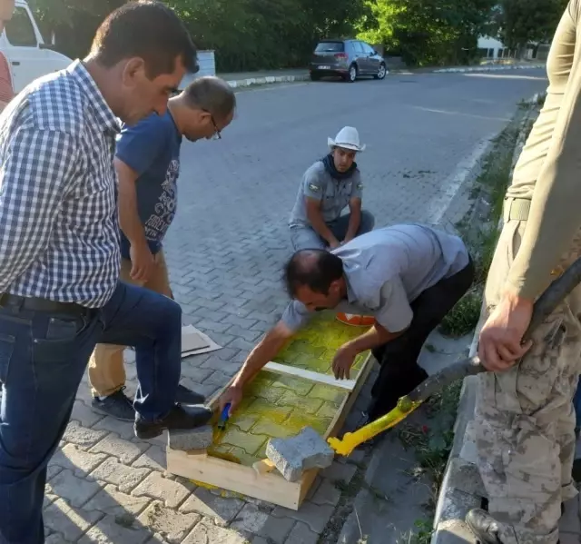 Yayladere'de 'Öncelik Hayatın, Öncelik Yayanın' Projesi