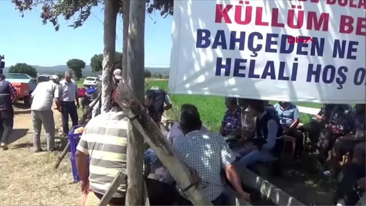 ÇANAKKALE YOL KENARINDAKİ TARLASINDA YETİŞEN ÜRÜNLERİ ÜCRETSİZ VERİYOR