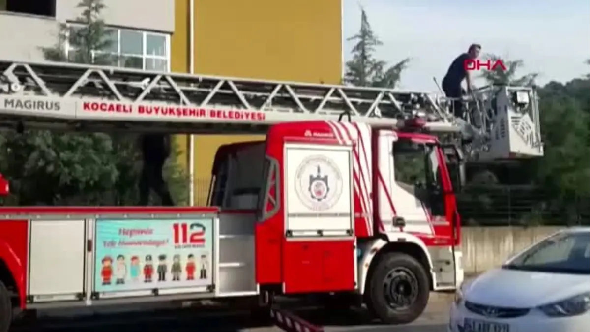 KOCAELİ Çatıya çıkan yavru köpekleri kurtardılar