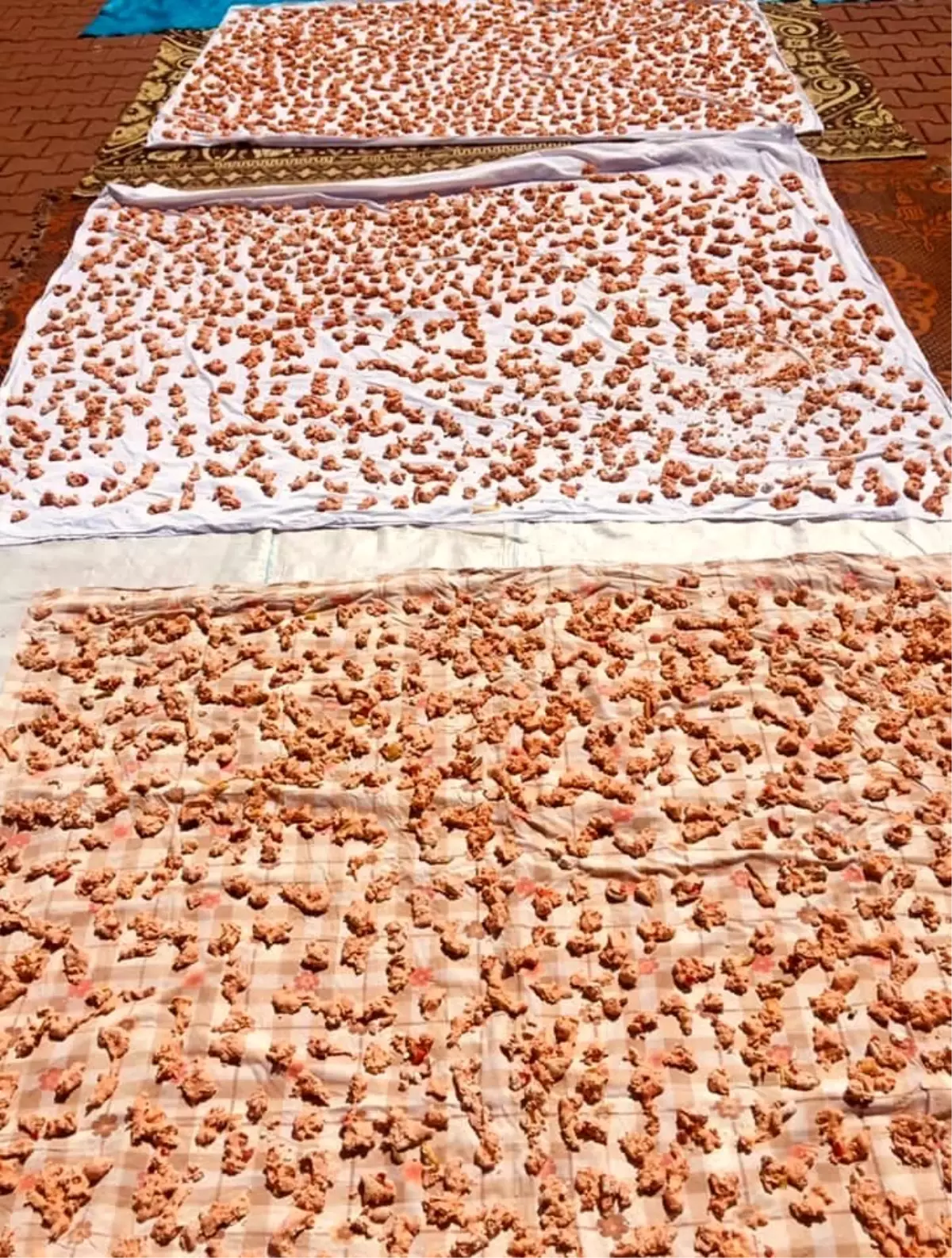 Nallıhan'da tarhana ayı başladı