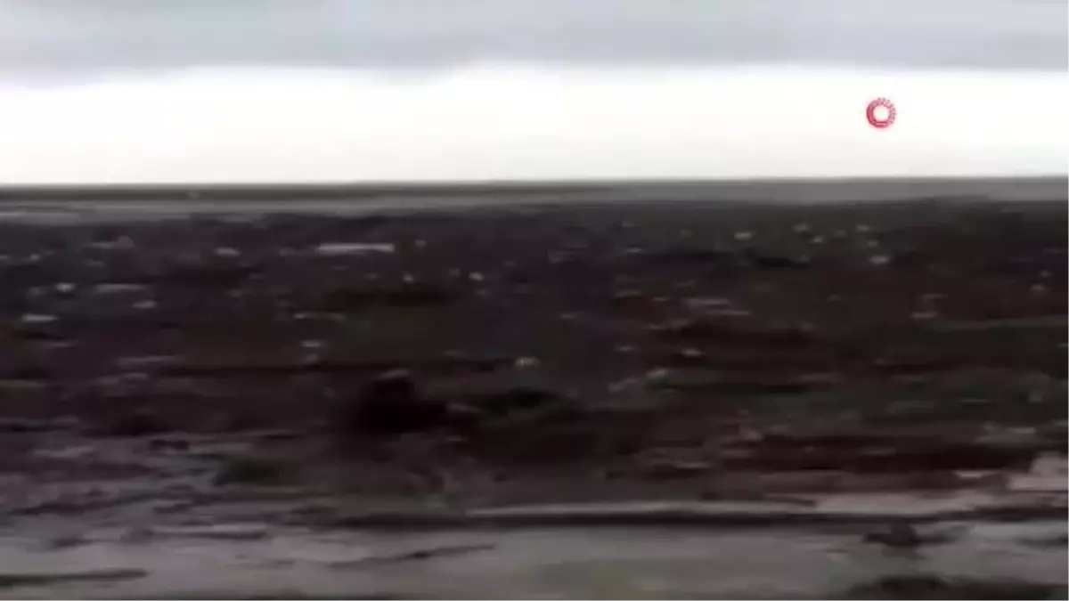 Sele kapılan köpeği vatandaş yüzerek kurtardı