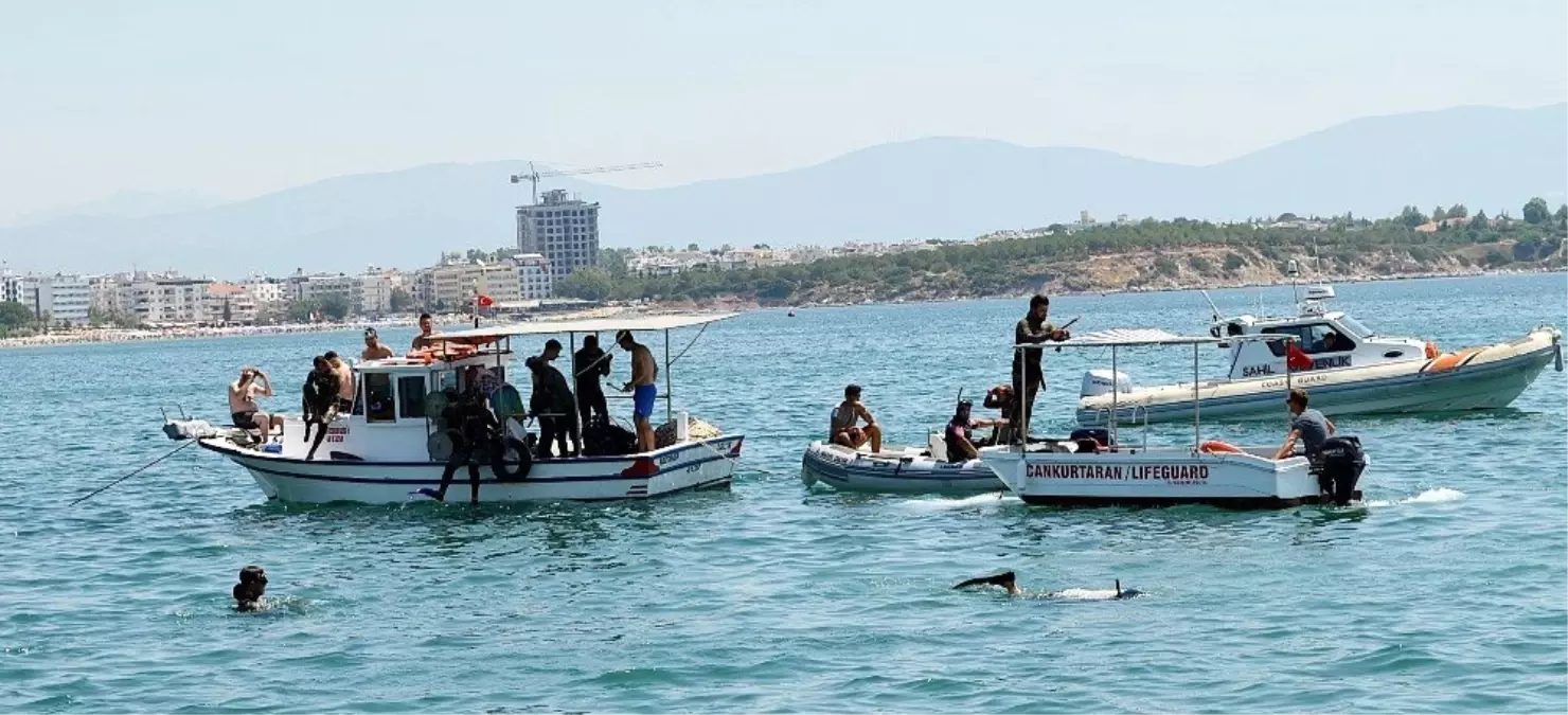 Didim'de deniz dip temizliği