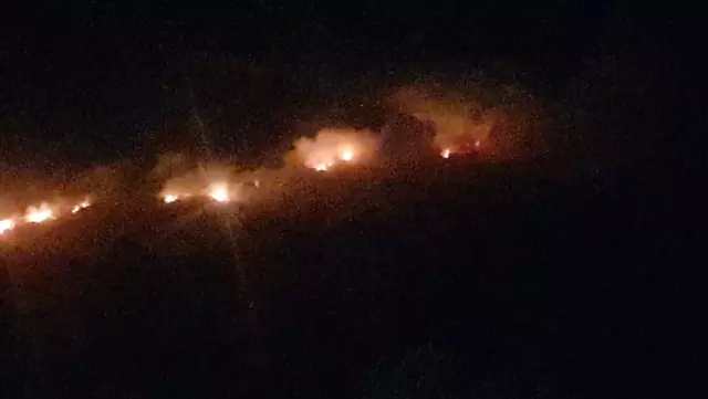 Makilik alanda başlayan yangın ormana doğru ilerliyor