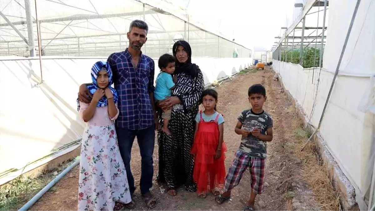 Türkiye gelir dağılımı eşitsizliğinde Avrupa ikincisi: Nüfusun yüzde 20'si kazancın yarısını alıyor