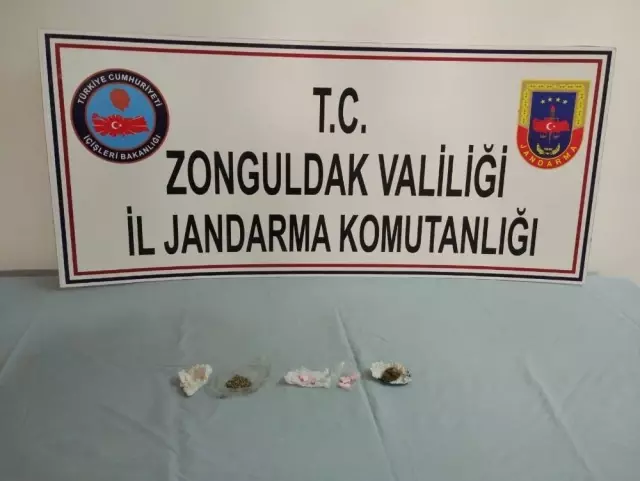 Alaplı'da skunk ele geçirildi