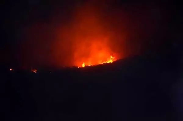 Aydın'da makilik alandaki yangın yayılıyor