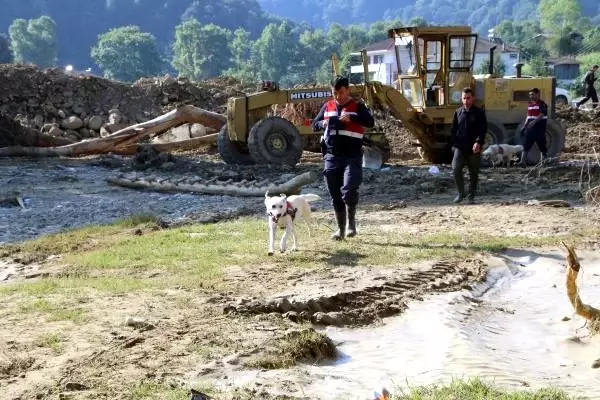 Düzce'de selde kaybolan 5 kişiyi arama çalışmaları sürüyor