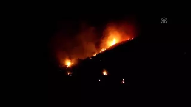 Makilik alanda yangın (2)