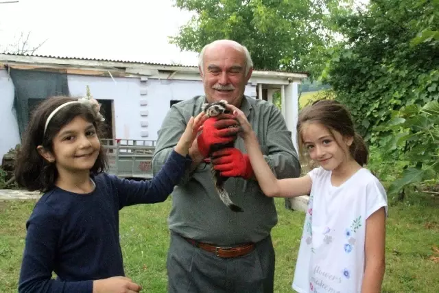 Nesli tehlike altında olan alacasansarları elleriyle besliyor