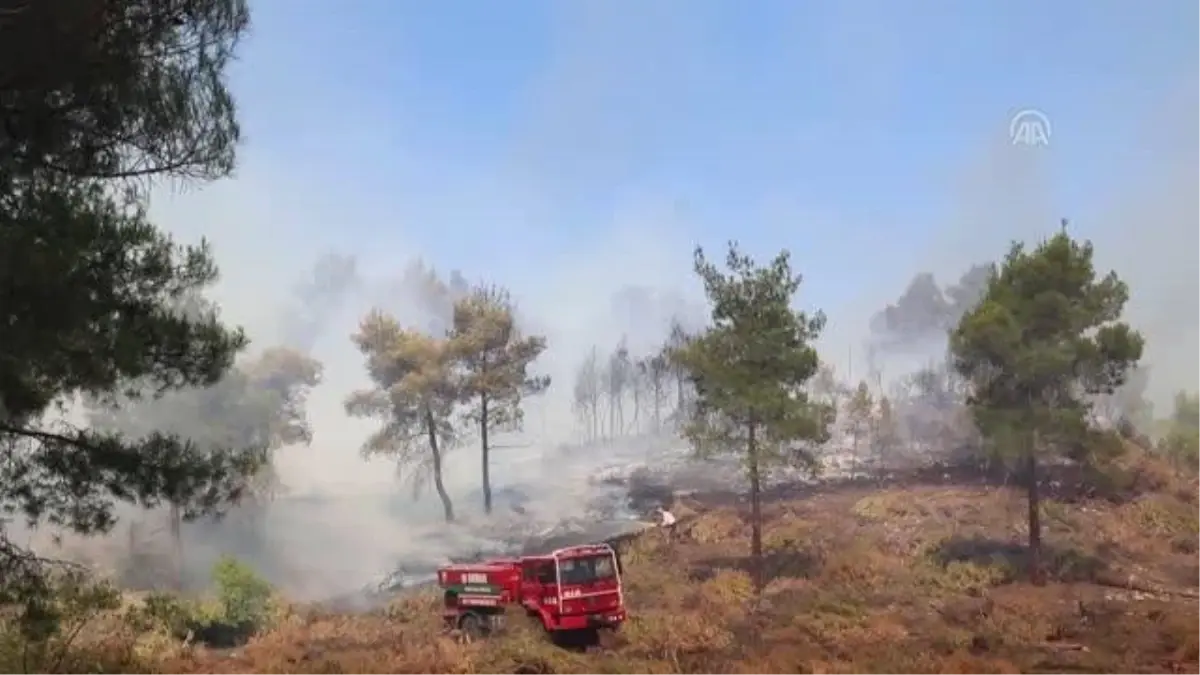 Orman yangını (2) - AYDIN