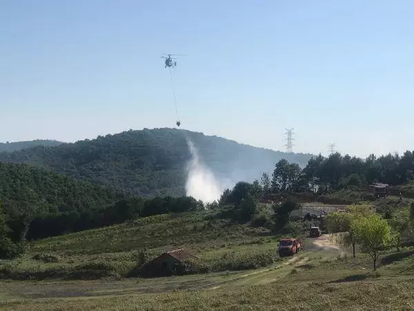 Şile'de orman yangını (1)