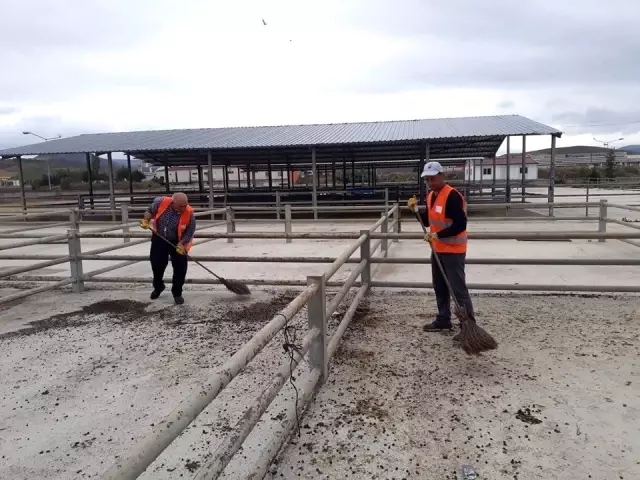 Sungurlu'da kurban bayramı hazırlıkları başladı