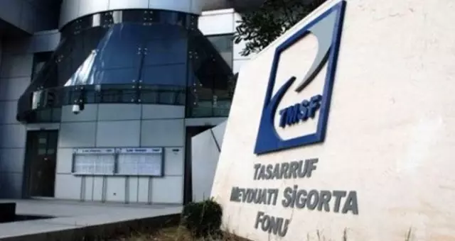 TMSF, Adularya Enerjiyi 1,1 milyar TL muhammen bedelle yeniden satışa çıkardı