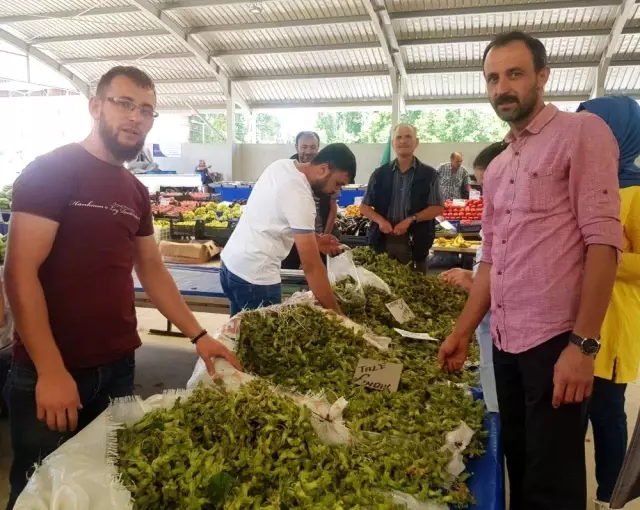 Yeni ürün yaş fındık tezgaha indi