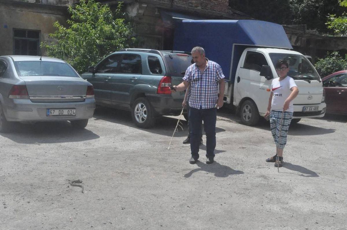 Mahalle arasında ezilmiş halde bulunan 3 metrelik su yılanı korku yarattı