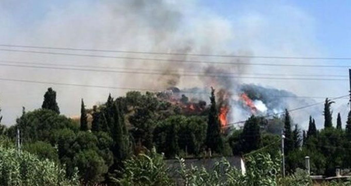 Manisa'da korkutan orman yangını