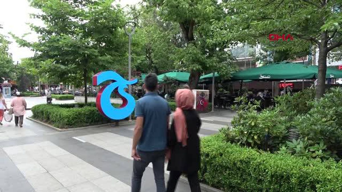 TRABZON CADDEYİ 'KAKALAK' BÖCEĞİ SARDI, EKİPLER İLAÇLAMA YAPTI
