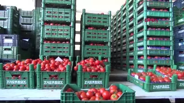Uzmanlardan 'buz' uyarısı: Besin zehirlenmesine sebep olabilir Uzmanlardan 'buz' uyarısı: Besin zehirlenmesine sebep olabilir